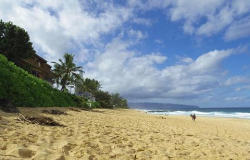 pict-ノースショア 18.jpg