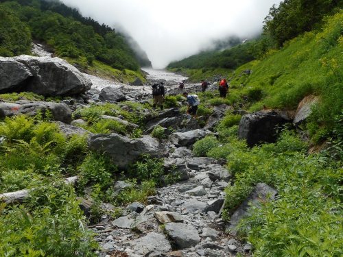 北岳大樺沢登山道 (3).JPG