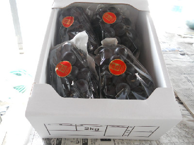 葡萄箱詰め４個入.jpg