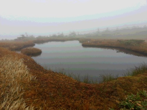平ケ岳湿原.jpg