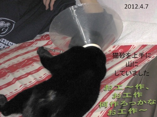 2012_04_07猫砂でお工作.jpg