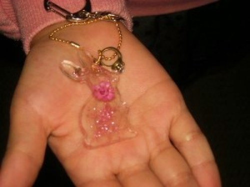 DSCN1967 (300x225).jpg