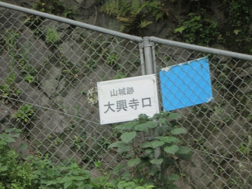 IMG_6740.jpg
