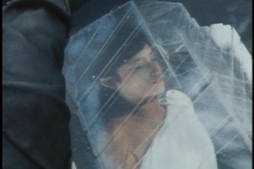 PDVD_017.jpg