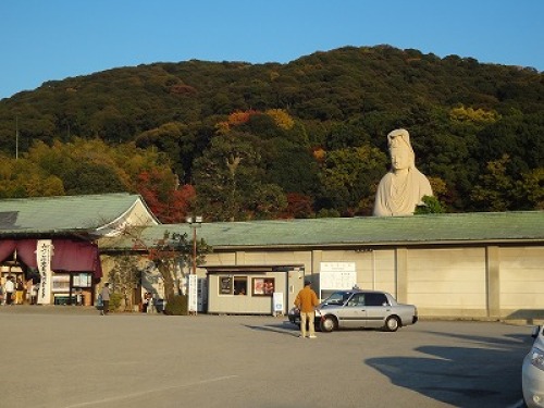 DSC07338.jpg