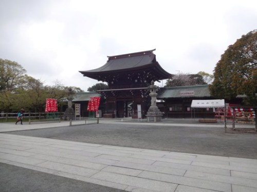 2.2016年桜 宮地嶽神社 (19).JPG