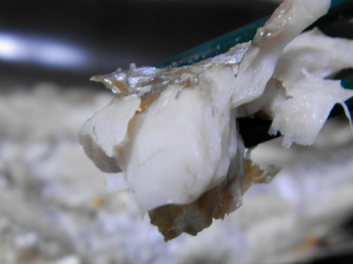 石持塩焼き07.JPG
