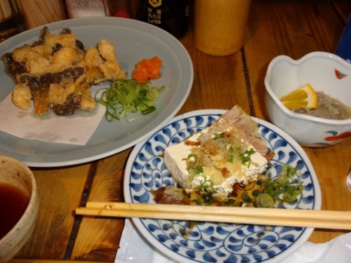 高知1日目 2  (16).JPG