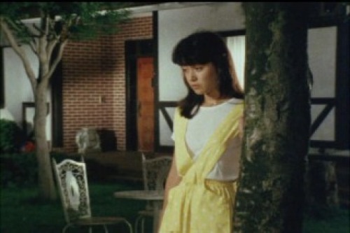 PDVD_025.jpg