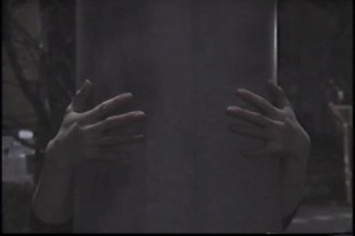PDVD_021.jpg