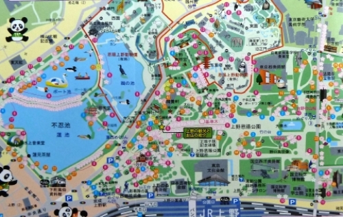 pict-上野の桜 6.jpg