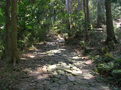 東海道箱根宿橿の木坂 (500x375).jpg