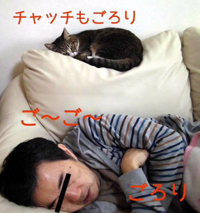 3'.jpg