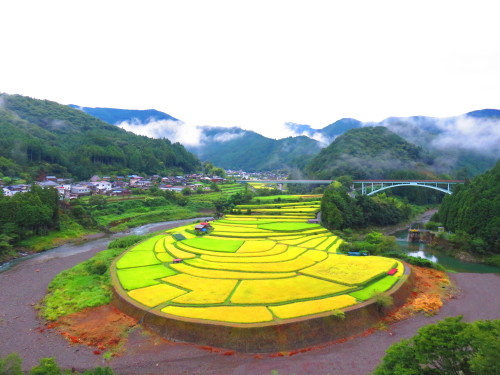 IMG_4316.JPG