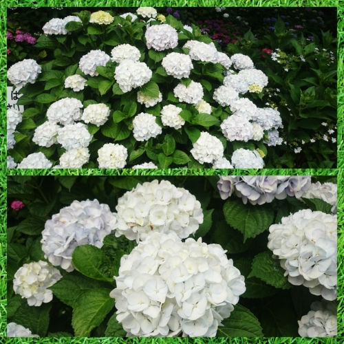 CYMERA_20150615_092521.jpg