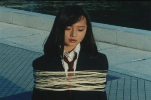 PDVD_023.jpg