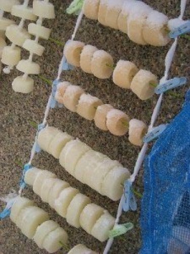 DSCN3886 (300x225).jpg