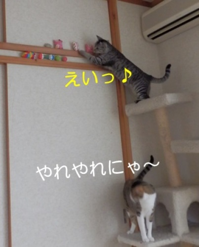 20130729_5.jpg