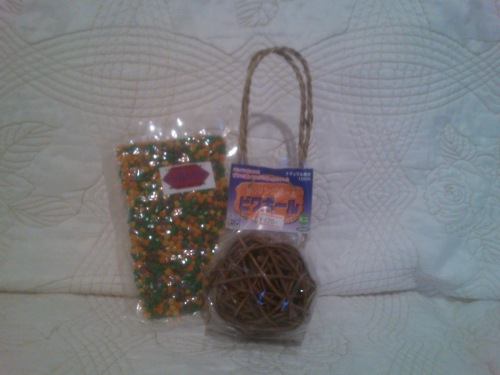 7 メイでーす♪.JPG