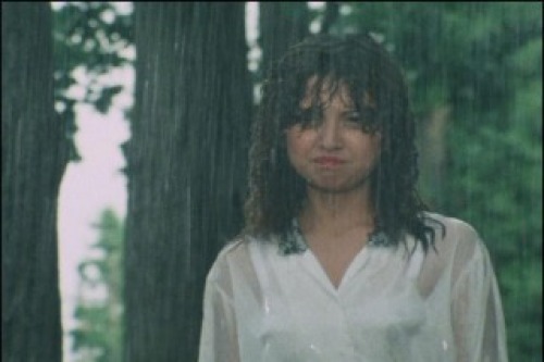 PDVD_015.jpg