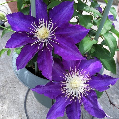 2016-04-26 13.20.42.jpg