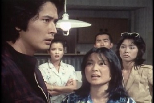 PDVD_022.jpg