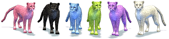 レインボーチーター