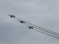 IMG_9931_R.JPG