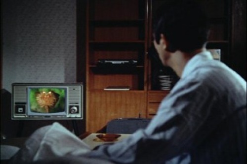 PDVD_013.jpg