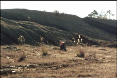PDVD_194.jpg
