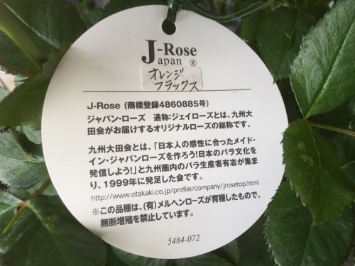 2016-05-11 15.15.19.jpg