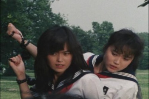 PDVD_022.jpg
