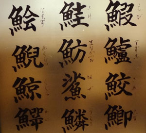 魚偏 さかなへん の漢字読めますか と言われているみたいだった 水族館 ありがたきかな定年 楽天ブログ