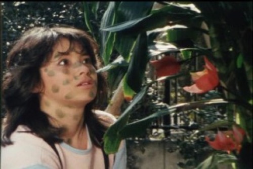 PDVD_029.jpg