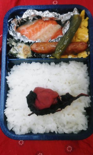 鮭弁当.jpg