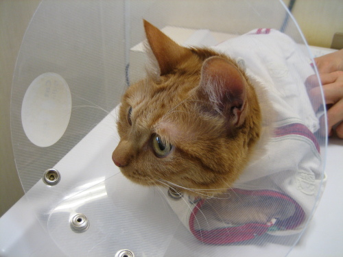 Jan. 20, 2015(3).JPG