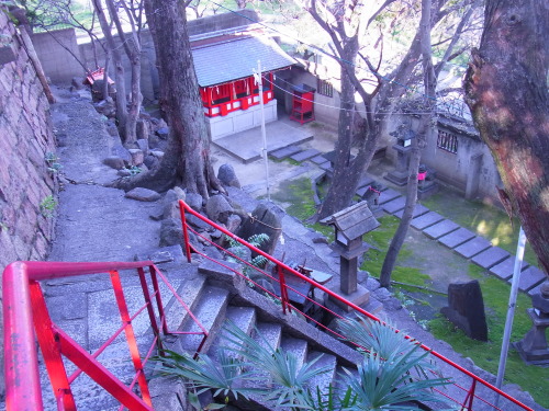 高津神社と蕪村秦氏 (17).JPG