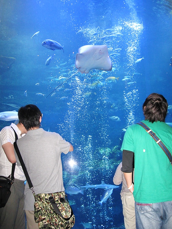 水族館7.jpg