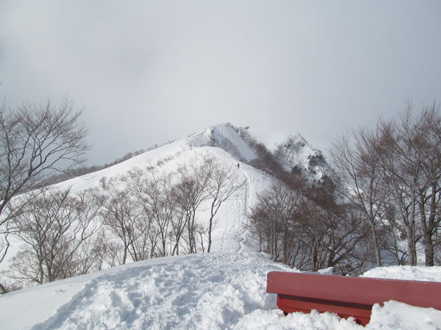 Tanigawa07.JPG