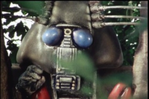 PDVD_009.jpg