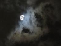 20141008-02.JPG