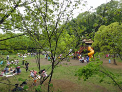 埼玉23.jpg