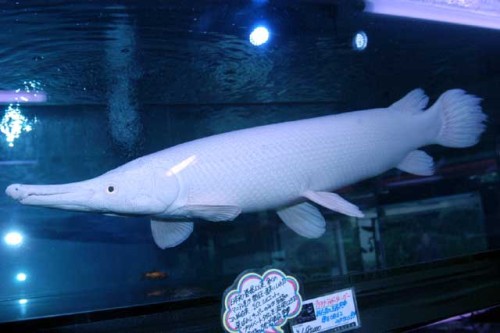 p_30 - コピー.jpg