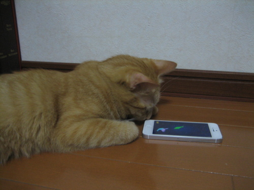 Sept. 20, 2013(13).JPG