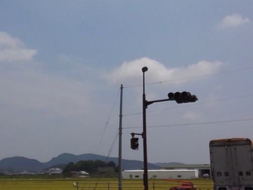 8月2日　実った土佐平野.JPG