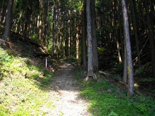 生藤山登山道 (1) (500x375).jpg