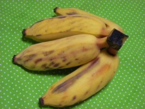 DSCN5848 (300x225).jpg