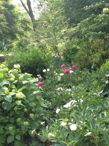 201405241923_5855_iphone.jpg