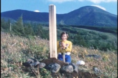 PDVD_004.jpg