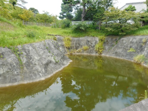 掛川城三日月堀.JPG